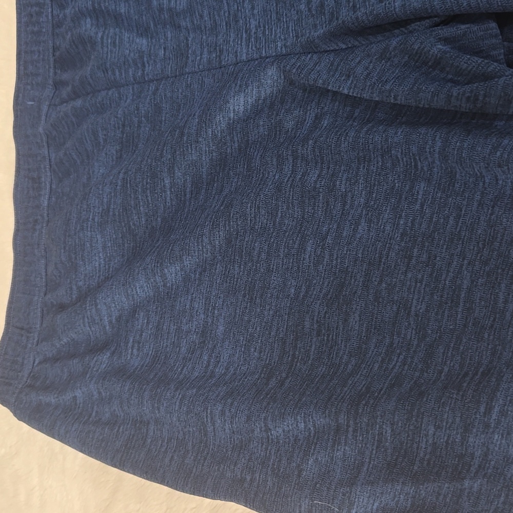 men's Blue All In Motion Shorts - Picture 4 of 13